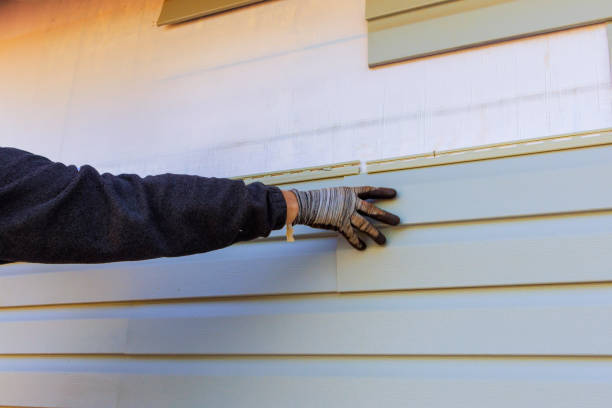 Affordable Siding Repair and Maintenance Services in Guttenberg, IA